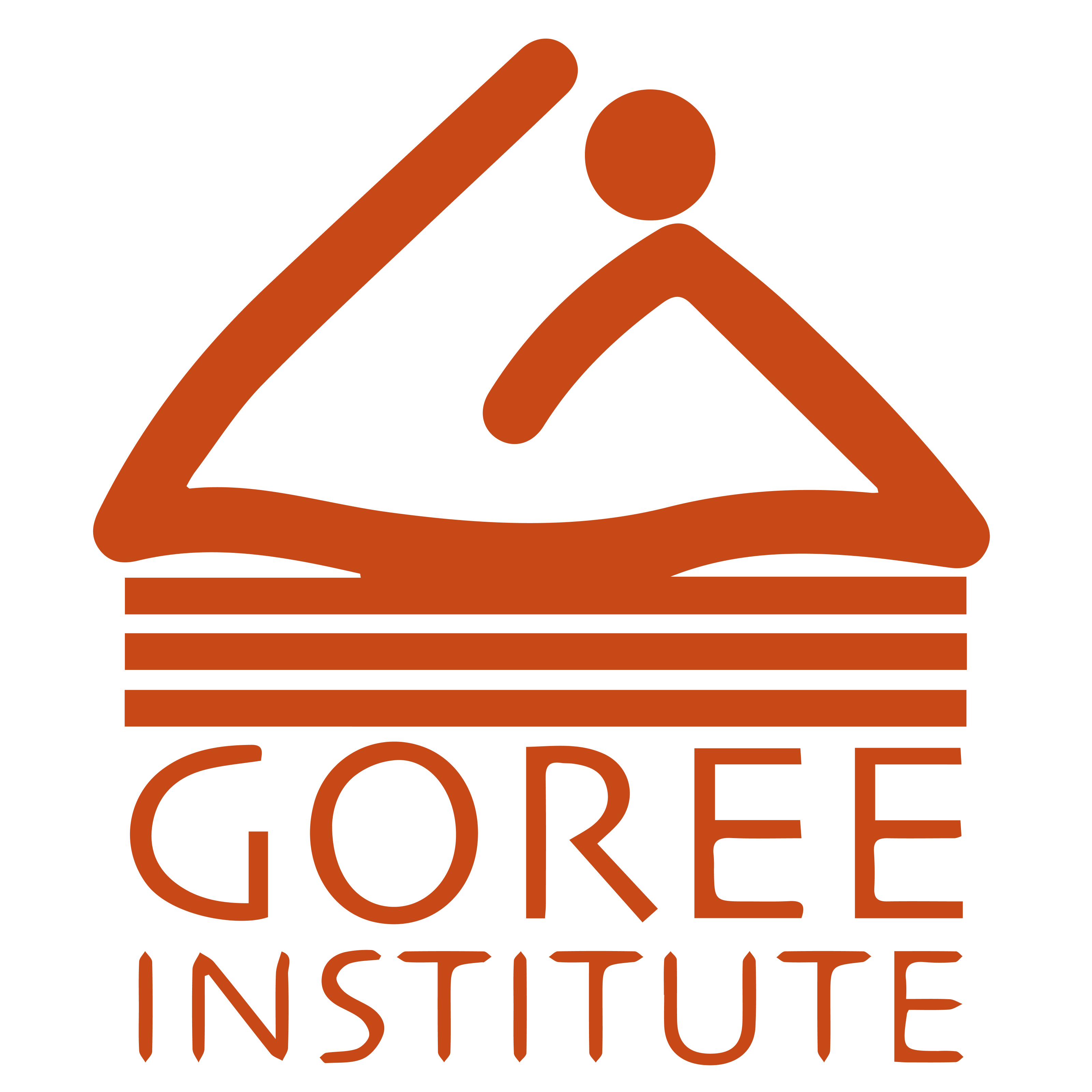 Gorée Institute